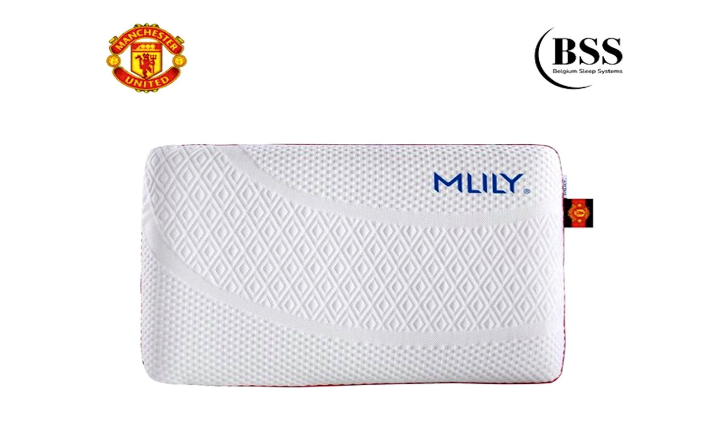 BSS | MLILY Kissen - 60x40x12 cm