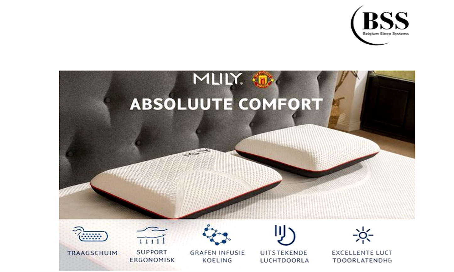 BSS | MLILY Kissen - 60x40x12 cm